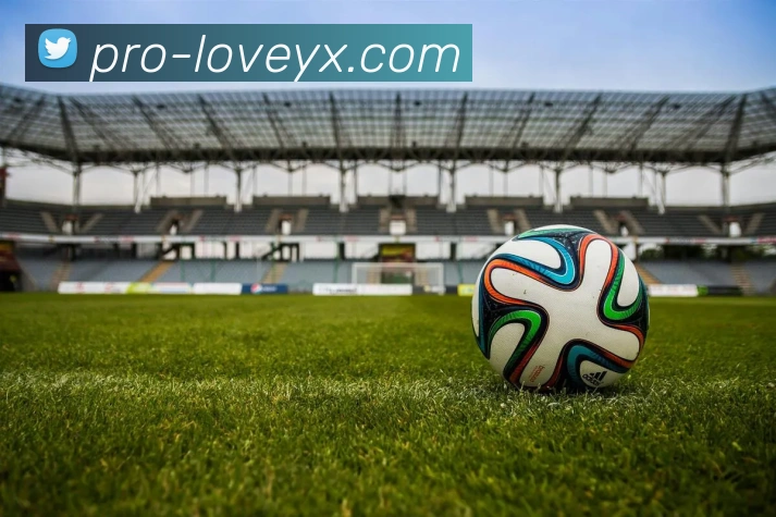 爱游戏平台生态图